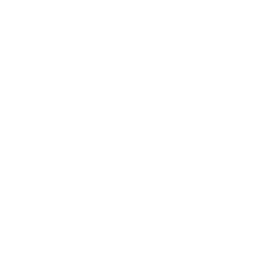 demo live icon