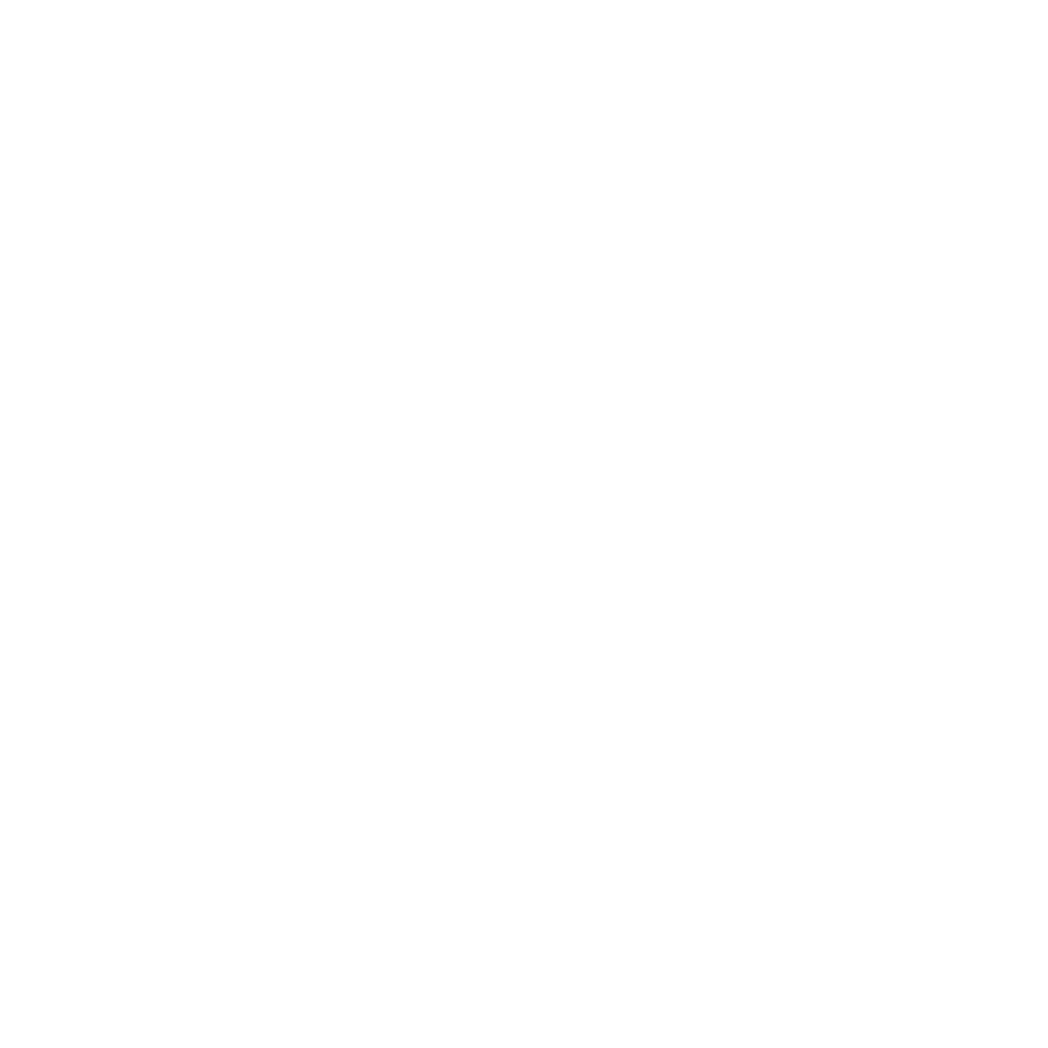 torch icon