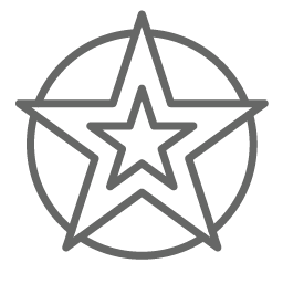Icon of a star within a circle